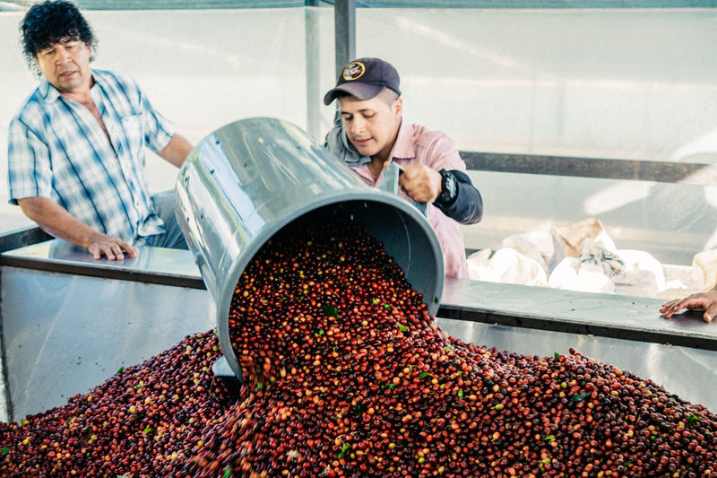Trust the (coffee) process.