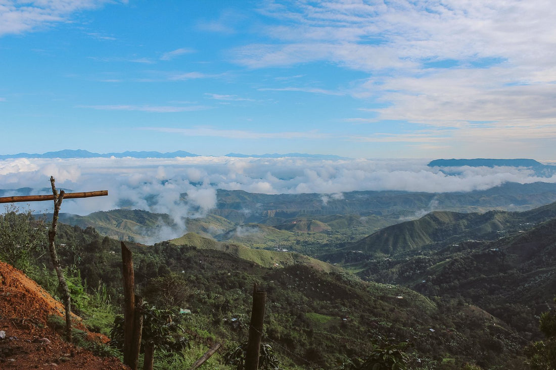 Journey to Origin - Colombia