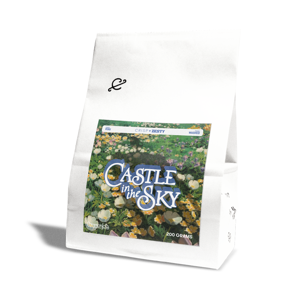 Photo of Castle In The Sky