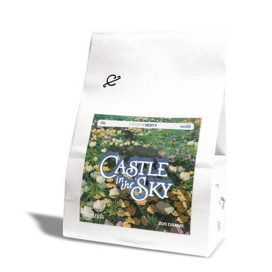Castle in the Sky