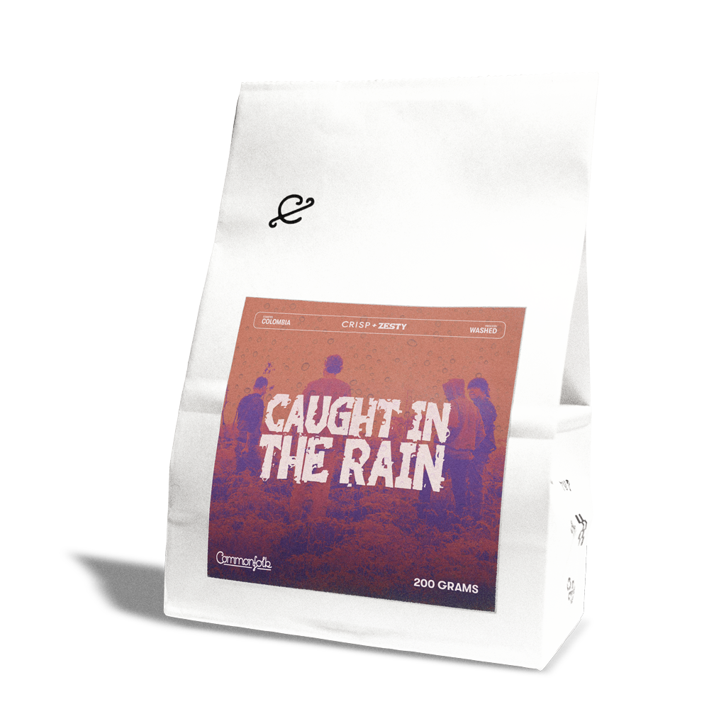 Photo of Caught In The Rain 24