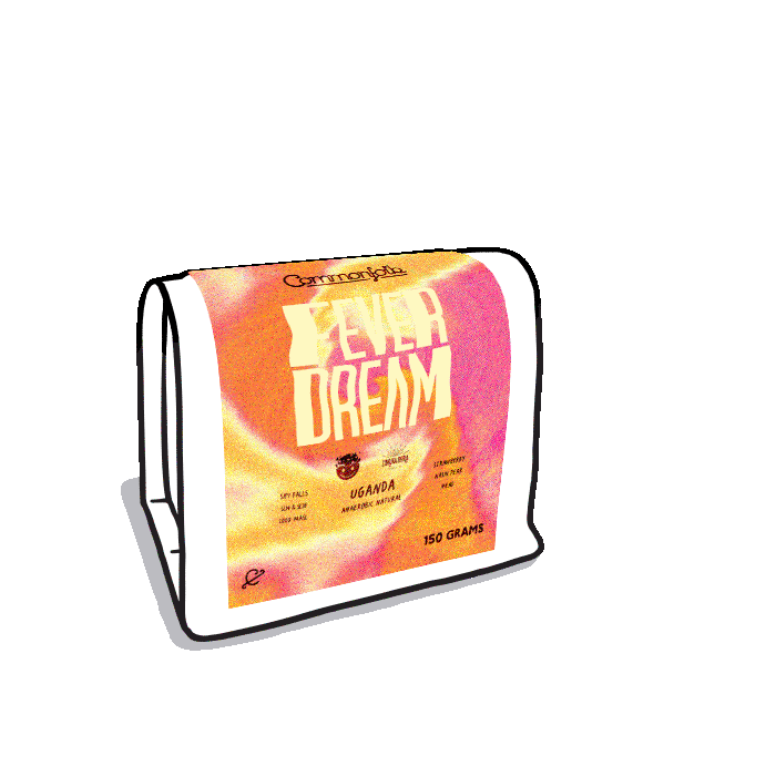 Photo of Fever Dream 23