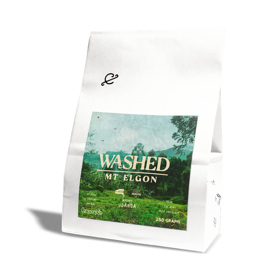 Mt Elgon Washed [2024]