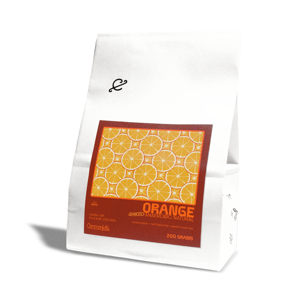 Photo of Orange Spiked 24