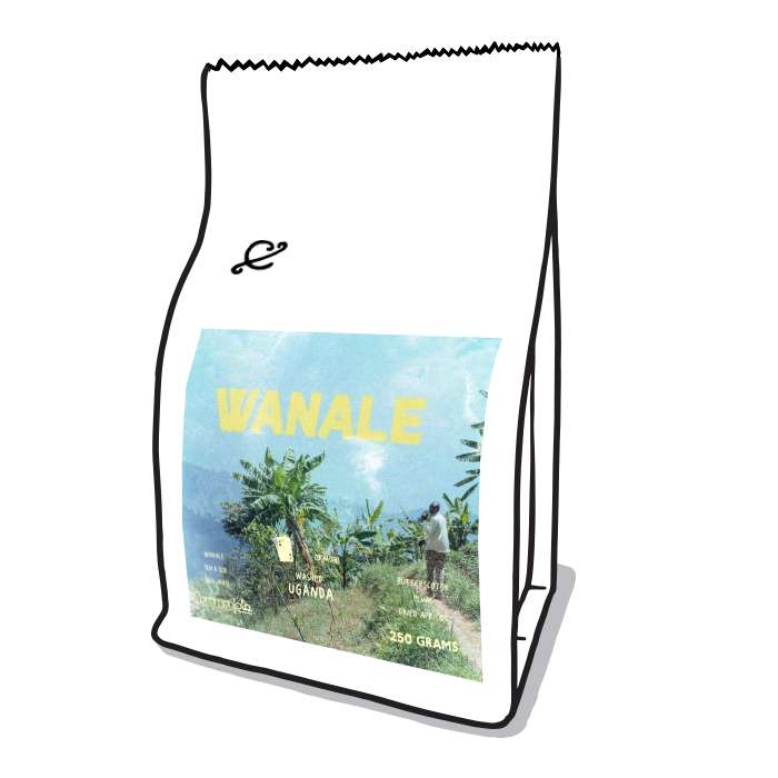 Photo of Wanale 23