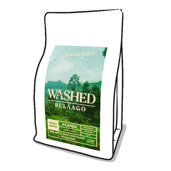 Photo of Bulaago Washed