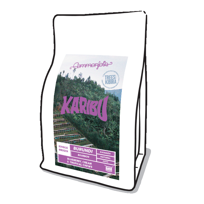 Photo of Karibu [2021]