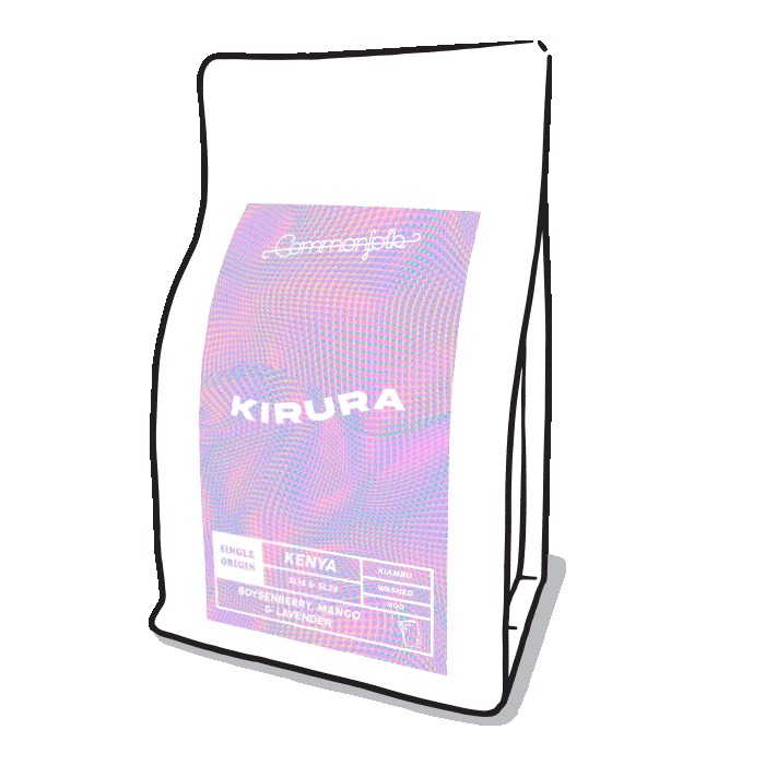 Photo of Kirura [2021]