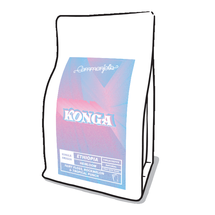 Photo of Konga [2021]