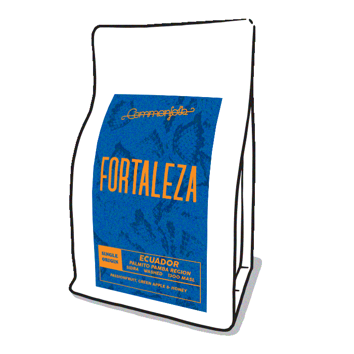 Photo of Fortaleza [2021]