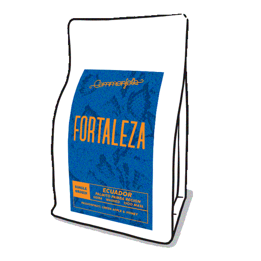 Fortaleza [2021]