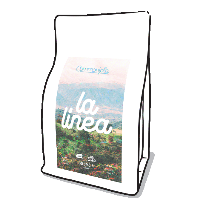 Photo of La Linea 23