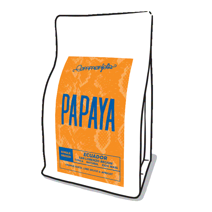 Photo of Papaya [2021]