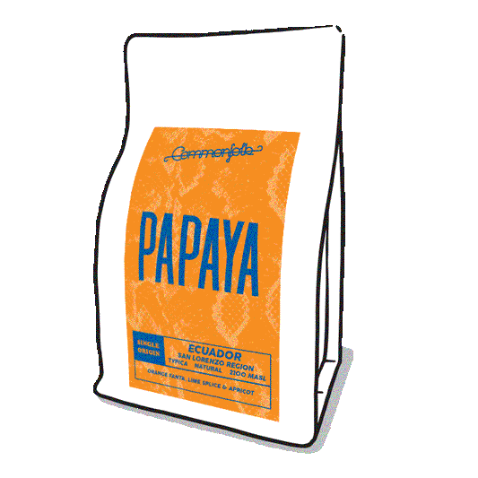 Papaya [2021]