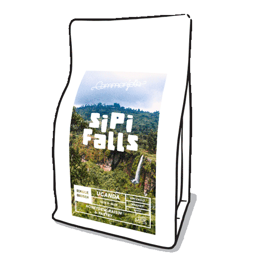 Sipi Falls [2021]