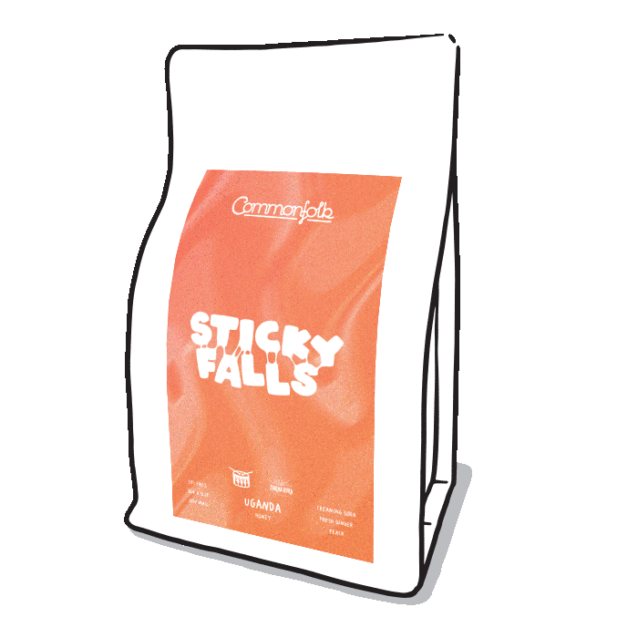 Photo of Sticky Falls