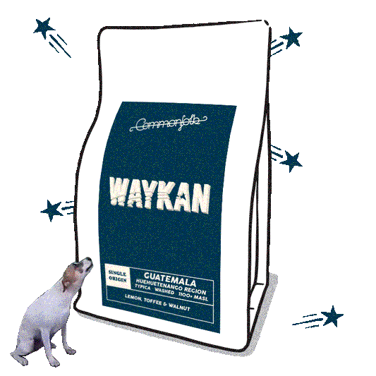 Waykan [2020]